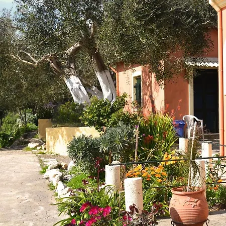 Feriehus Olive Grove