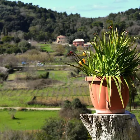 Feriehus Olive Grove *