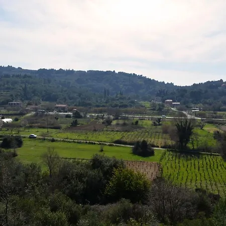 Olive Grove Sinarádes