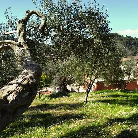 Feriehus Olive Grove Sinarádes