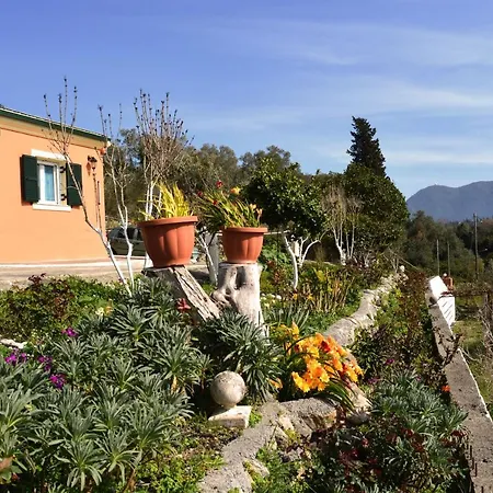 Holiday home Skafonas *